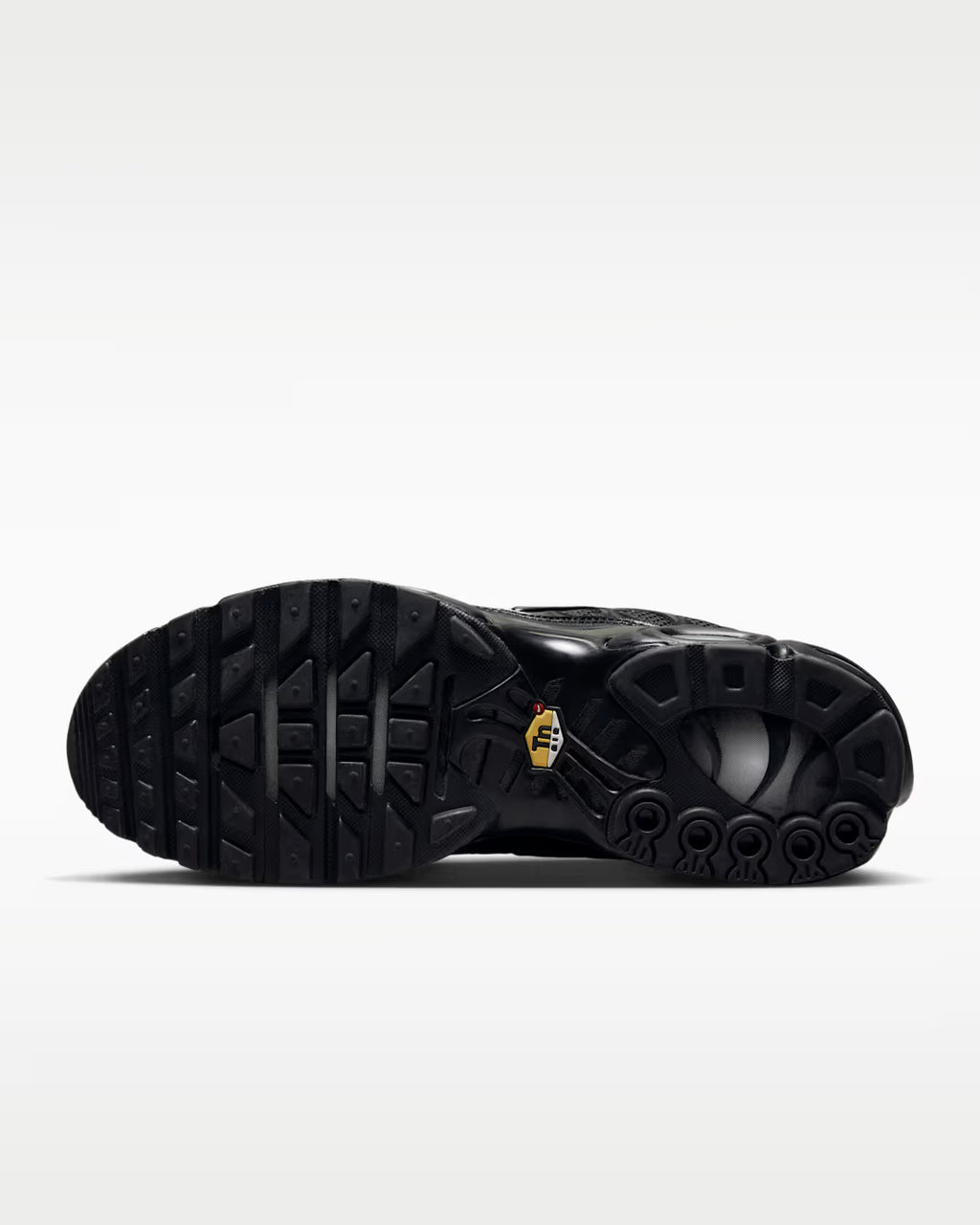 Nike Air Max Plus TN Triple Black