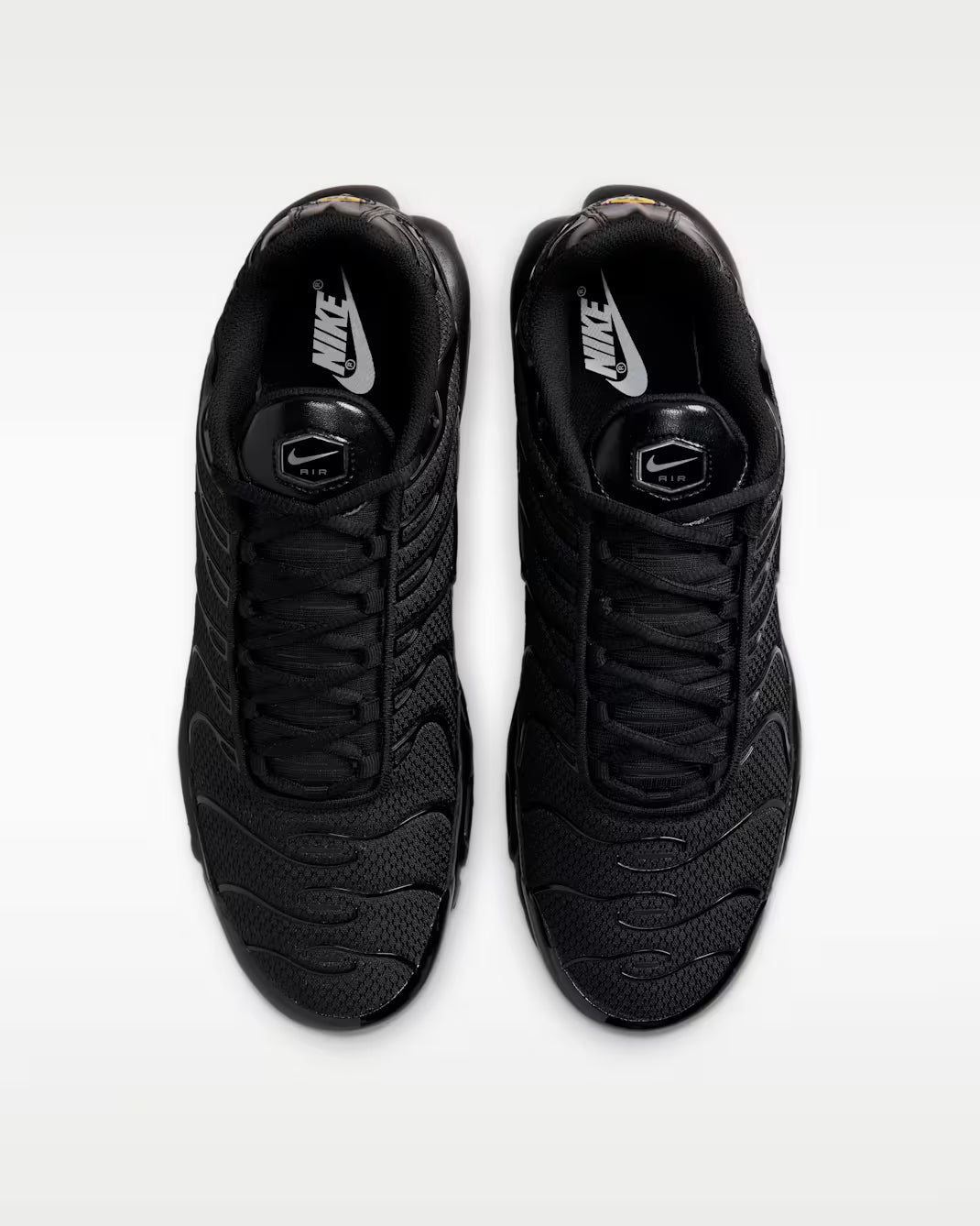 Nike Air Max Plus TN Triple Black
