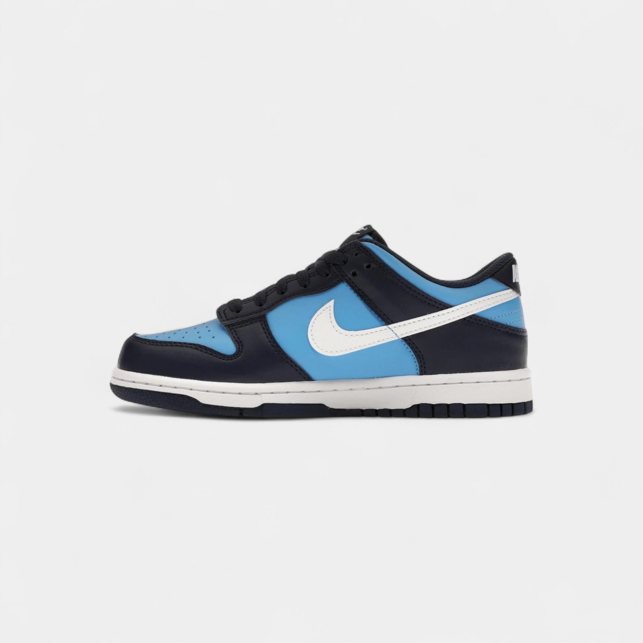 Nike Dunk Low University Blue White (GS)