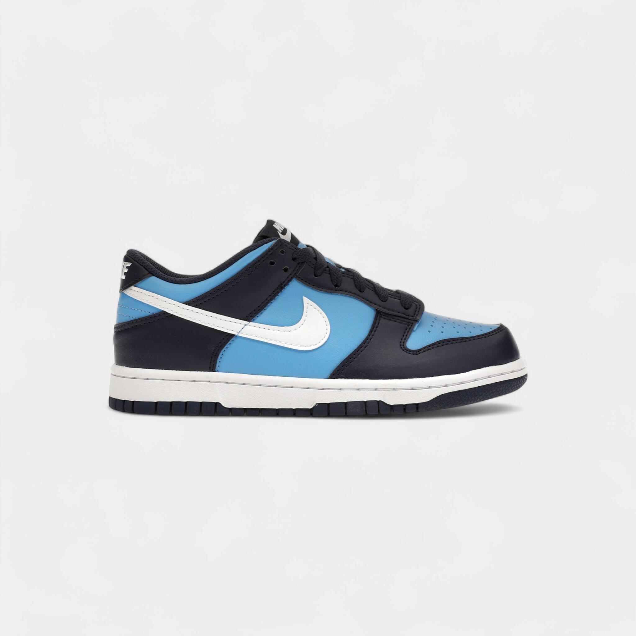 Nike Dunk Low University Blue White (GS)